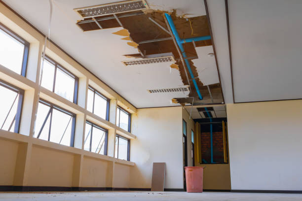 Best Water damage mitigation services  in Arabi, LA