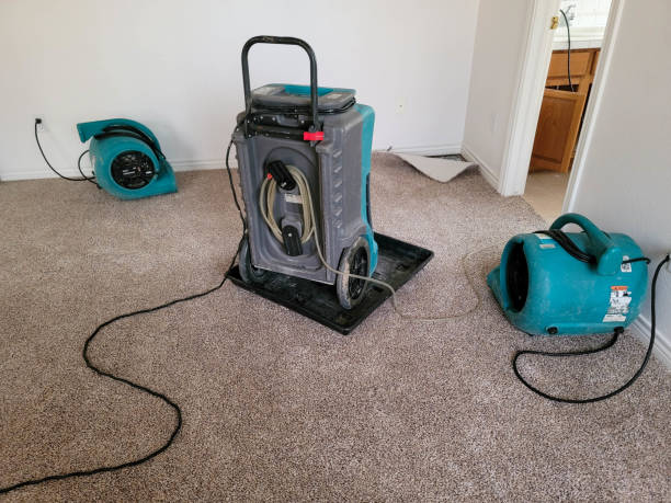 Best Mold removal after water damage  in Arabi, LA