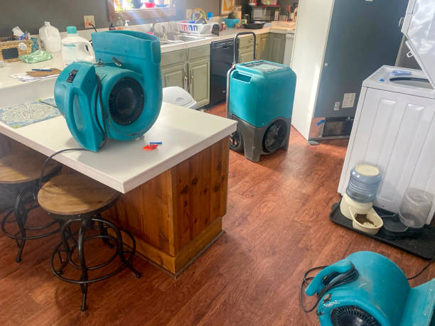Best Water damage restoration insurance claims  in Arabi, LA