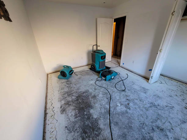 Best Fire Damage Restoration  in Arabi, LA