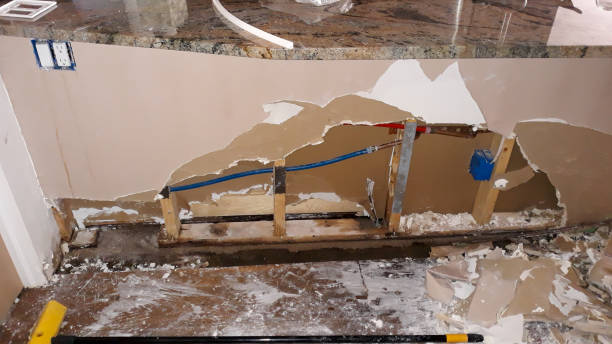 Best Water damage restoration near me  in Arabi, LA