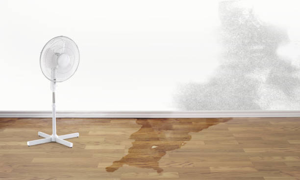 Best Water damage restoration near me  in Arabi, LA