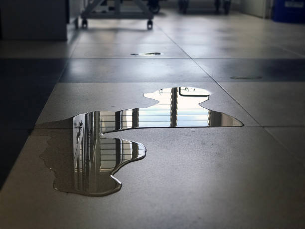 Water damage restoration insurance claims in LA