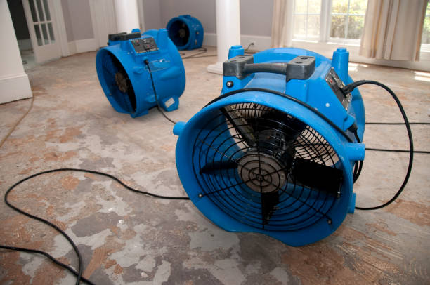 Best Basement water damage restoration  in Arabi, LA
