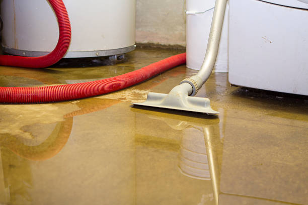 Best Water damage restoration near me  in Arabi, LA