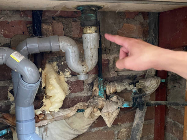 Best Flooded house restoration  in Arabi, LA